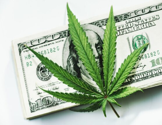 Economic Benefits of Legalizing Marijuana